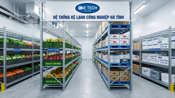 Ứng dụng kệ kho lạnh Hà Tĩnh Ứng dụng kệ kho lạnh Hà Tĩnh cho thực phẩm, nông sản và dược phẩm